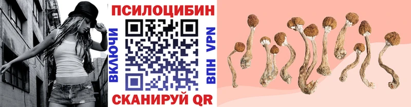 Галлюциногенные грибы Magic Shrooms  сколько стоит  Коломна 